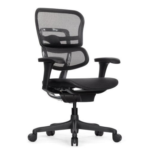 Ортопедическое кресло Falto Ergohuman 2 Project